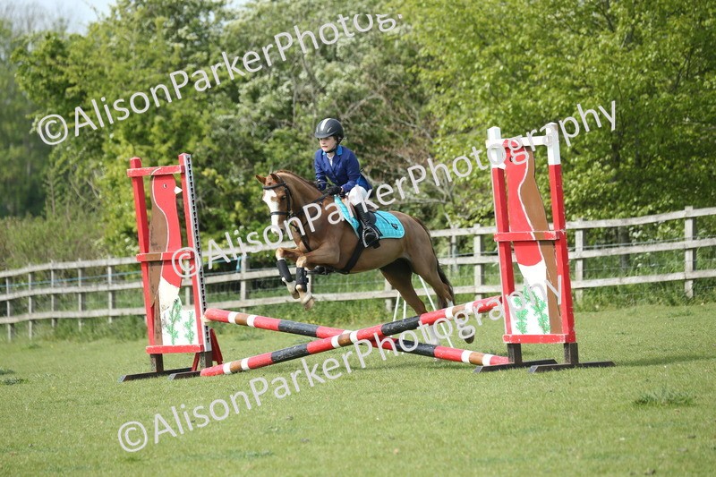 20260426-1686 - Class 14 - Novice 60cm