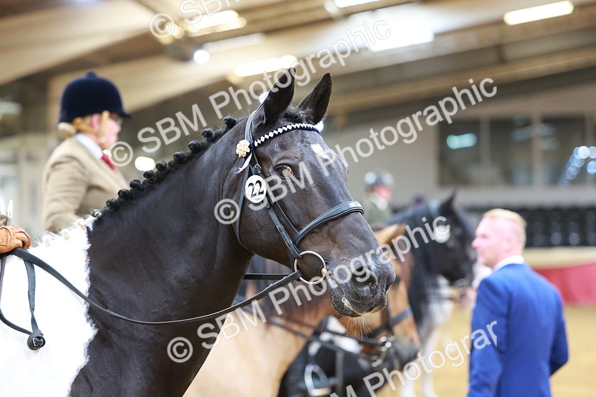 SBM_05389 - Class 11R - Ridden Veteran