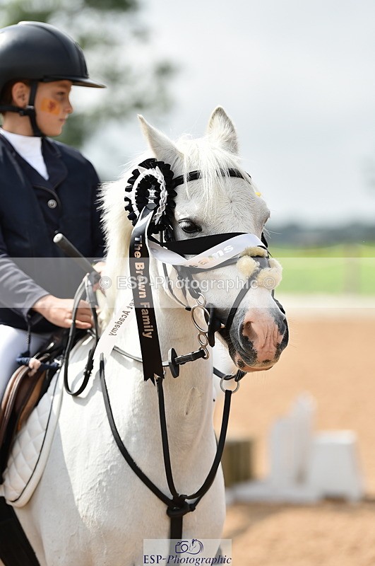 230902A-120358-00915 - Cls 2B Pony Small 80cm