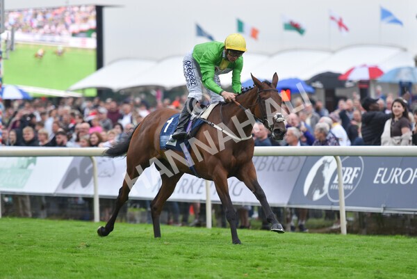 yr22072022r5-26 - Race 5 7.20pm British Stallion Studs EBF Lyric Fillies' Stakes