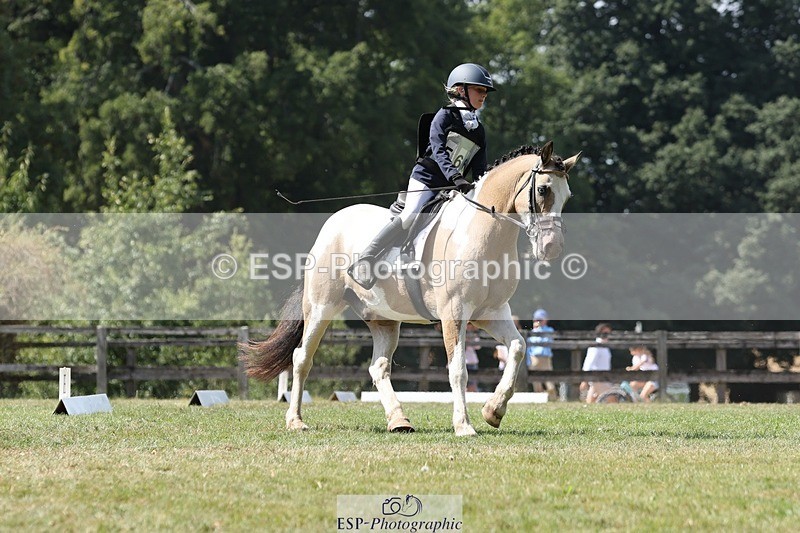 250823A-133604-31327 - Arena D