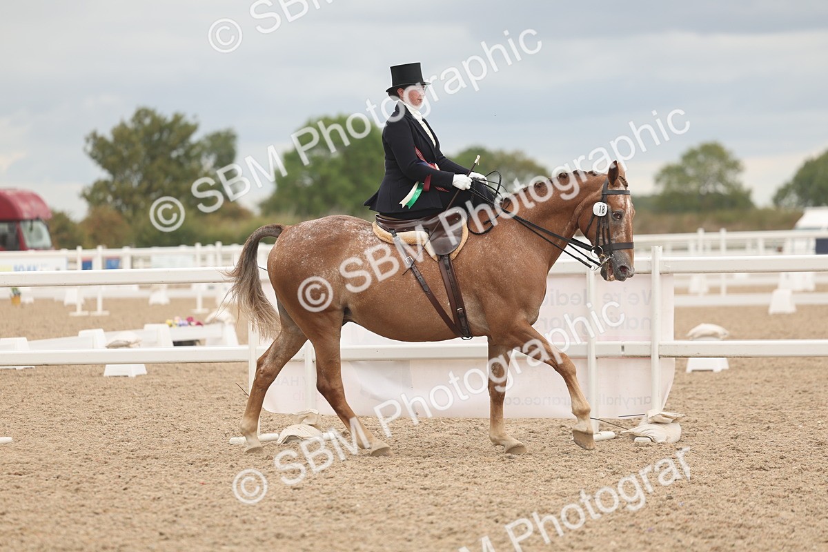 SBM_06401 - Class 23 - SSA - Classical