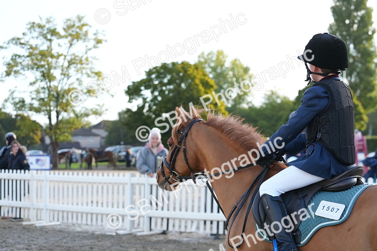SBM_32162 - J5 - Junior Pony 50cm Championship