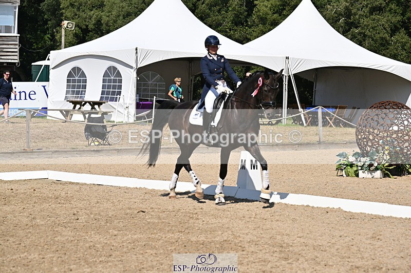 250810A-152907-08051 - Intermediate I GOLD Presentations