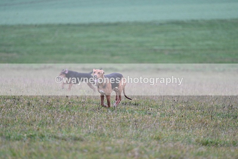 WJ7_0434 - Camera 1