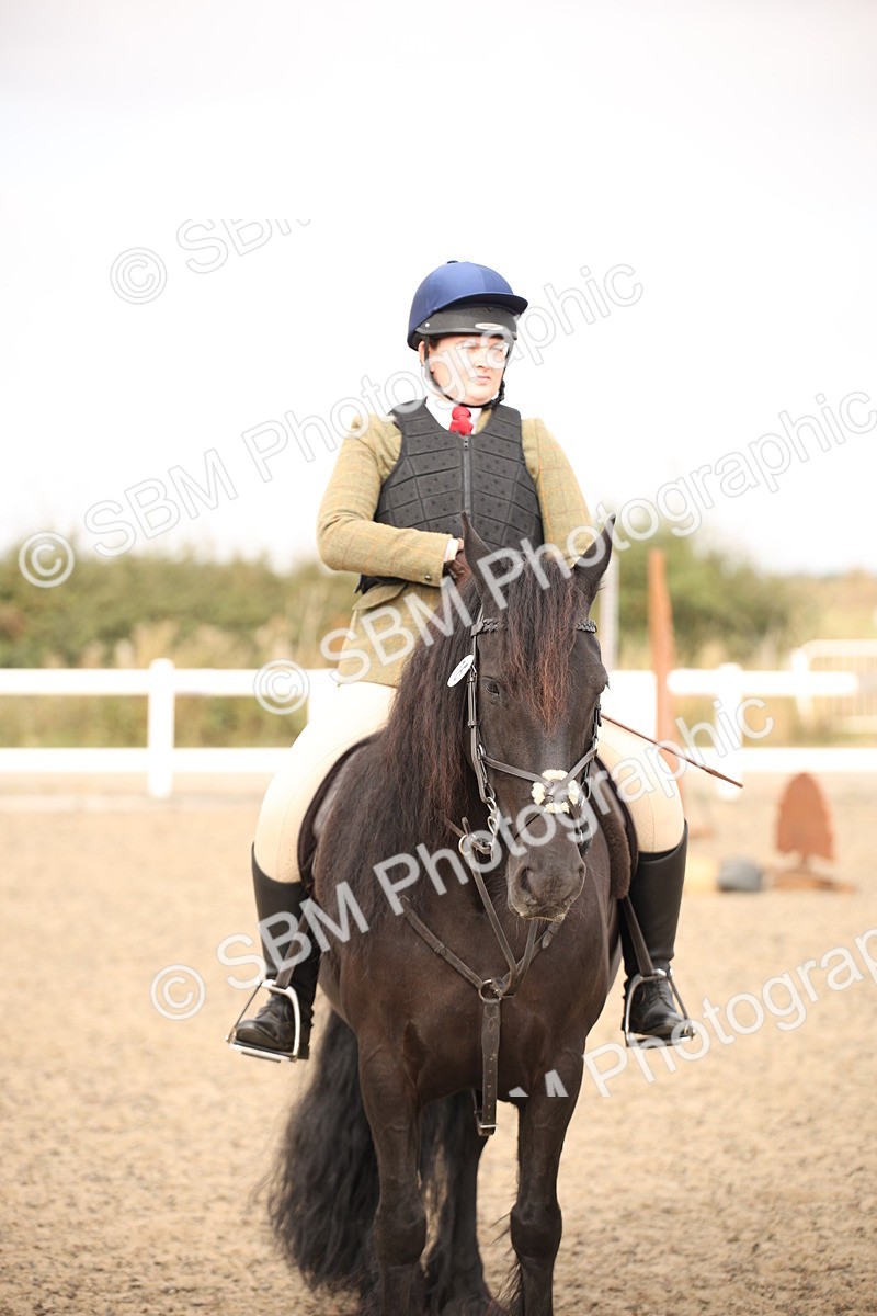 SBM_16235 - Class 409a - Working Veteran 80cm (15-19)