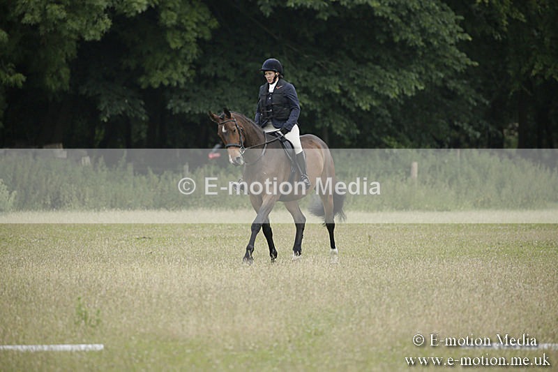 B230619-0013 - Bourne Valley Riding Club Summer Show 23/06/19