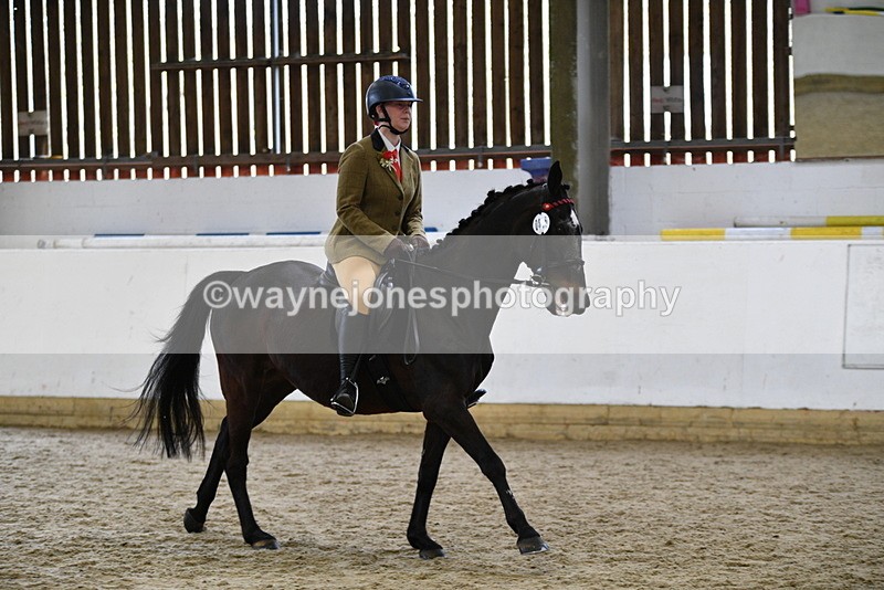 WJ5_6316 - Class 9 Ridden Veteran