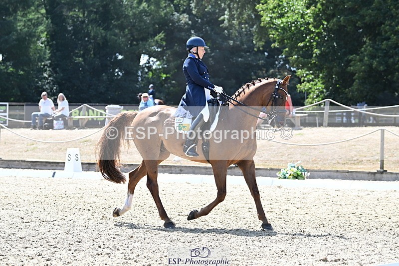 250810A-142509-07244 - 147-Judy.HarveySP.Bento