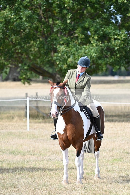 WJ7_7856 - Ridden Championship