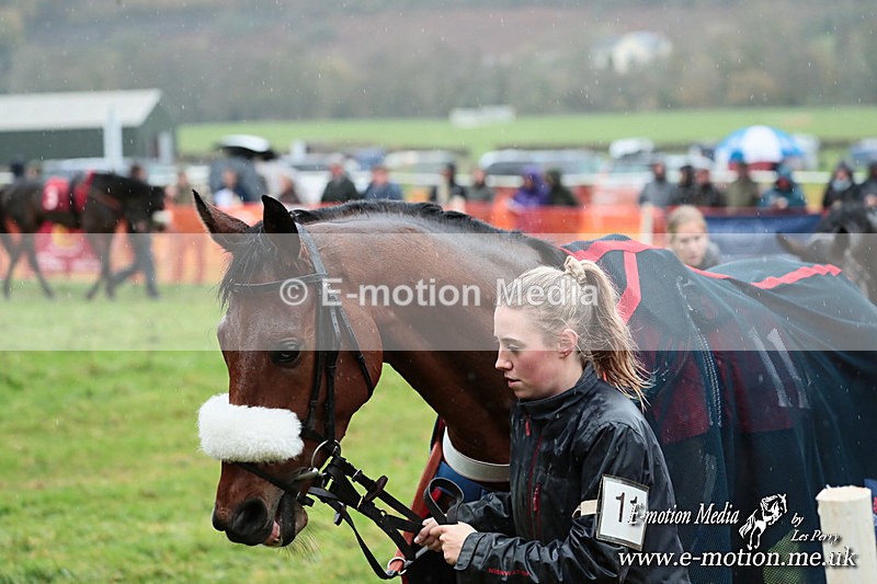 PtP 091125 0263 - Point-to-Point Wales Area Club Lower Machen, Gwent 09/11/25