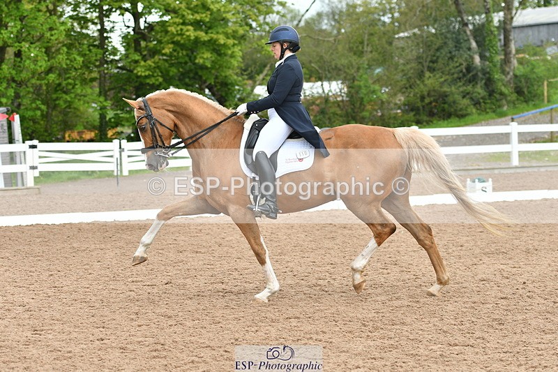 230511A-160111-01275 - BD Cls 18 FEI PSG