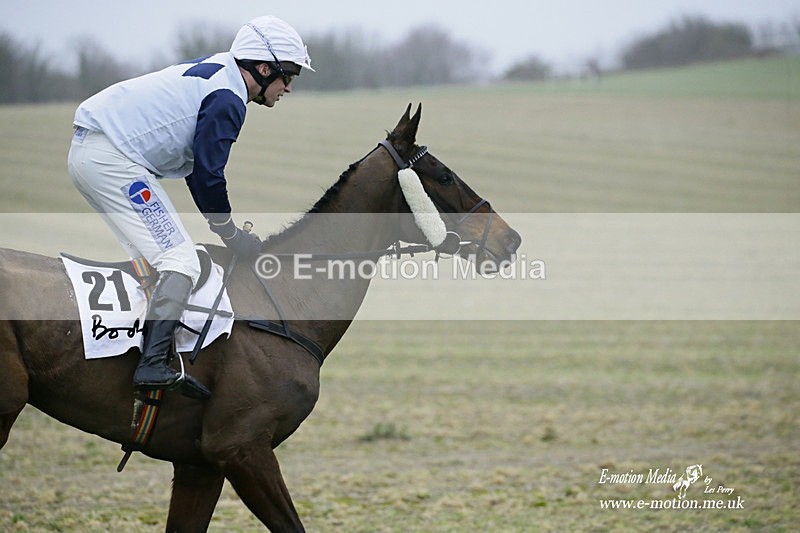 PtP 200222 727 - Countryside Alliance PtP Badbury Rings 20/02/22