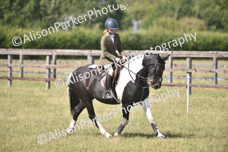 20260906-2668 - Class 12 - 14.2hh and Under