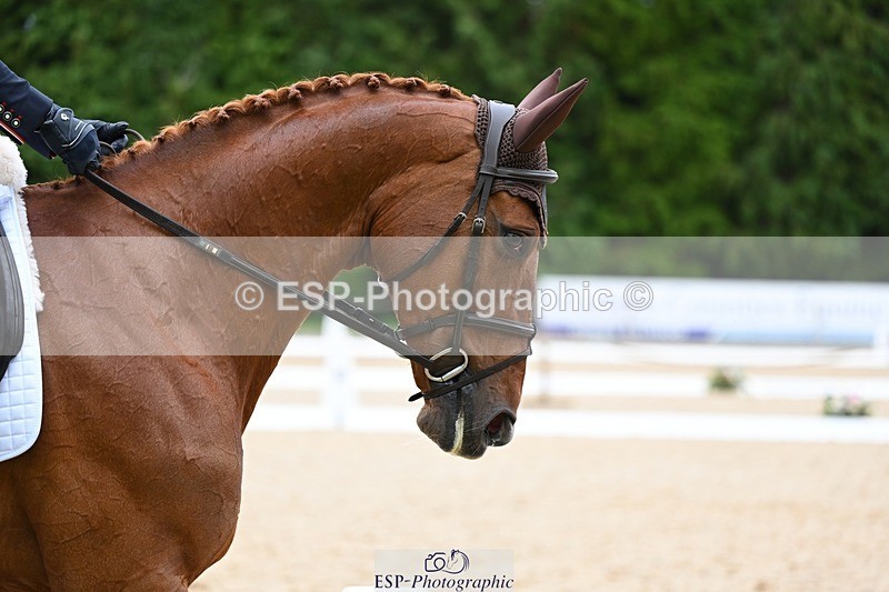 240524-182239-11644 - 166-MEXICAN_LAW-Isabelle_Cook