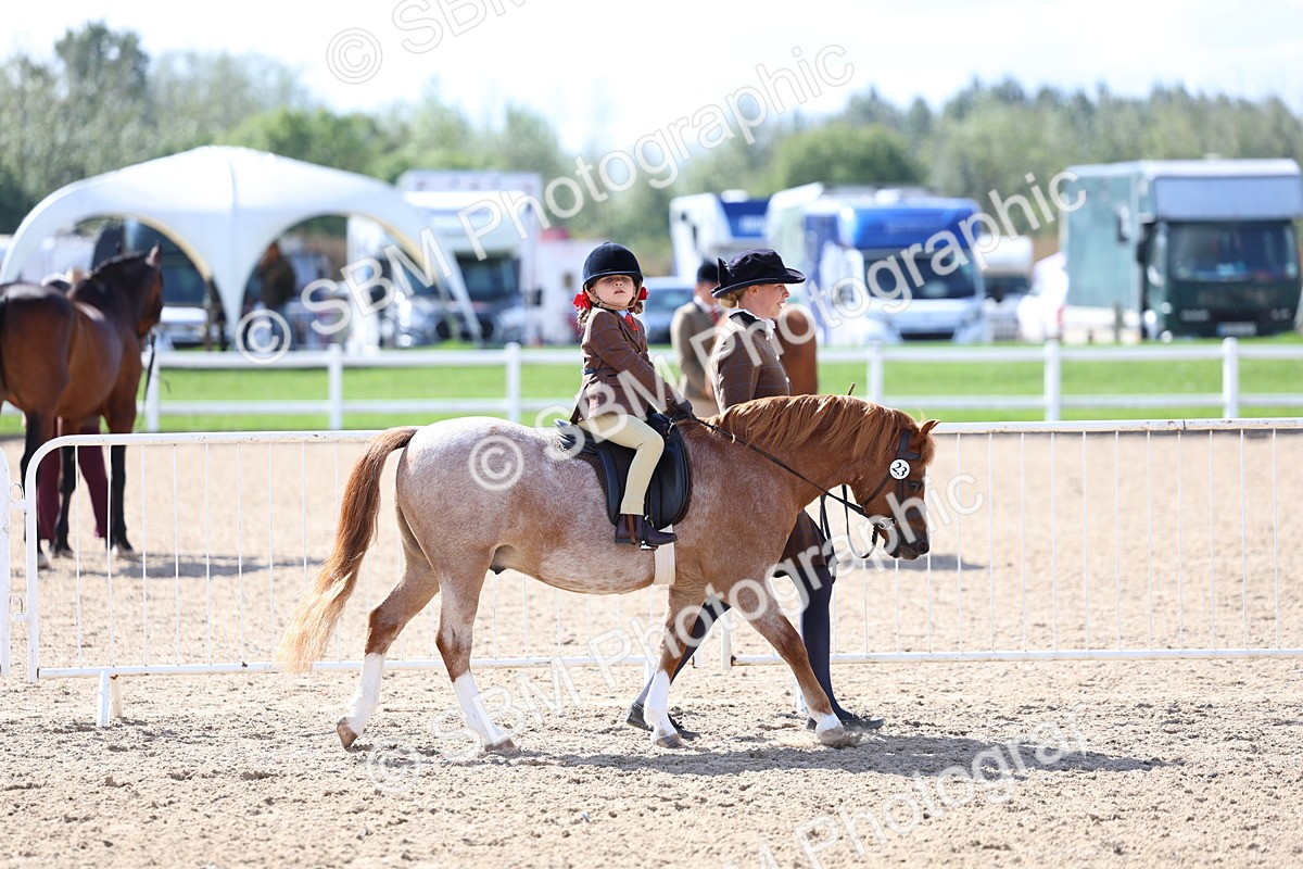 SBM_13008 - Class 309 - Lead Rein Pony