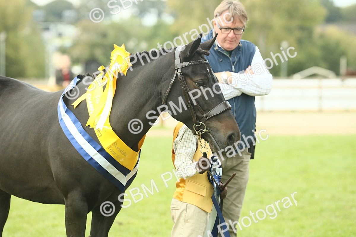 SBM_75248 - Super Supreme Championship