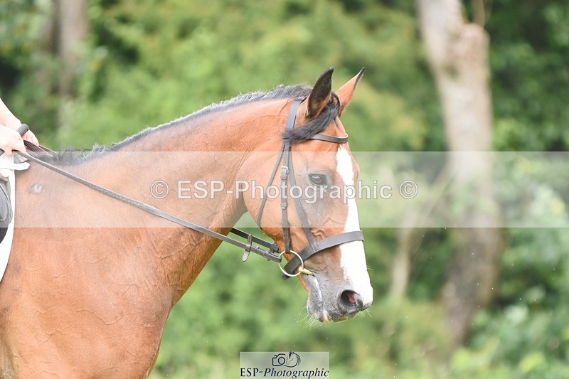 230625-102438-00586 - SJ 90cm  10.05 to 11.10