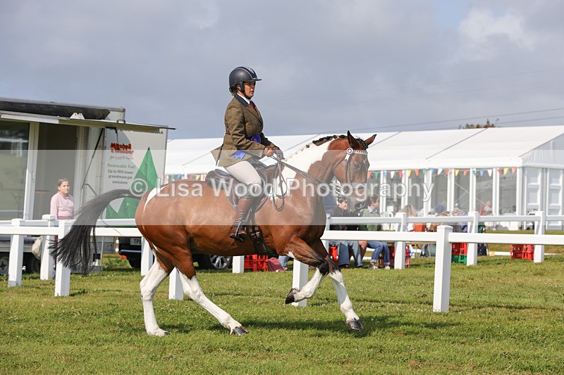 1X9A3499 - Skewbald and Piebald Ridden Championship