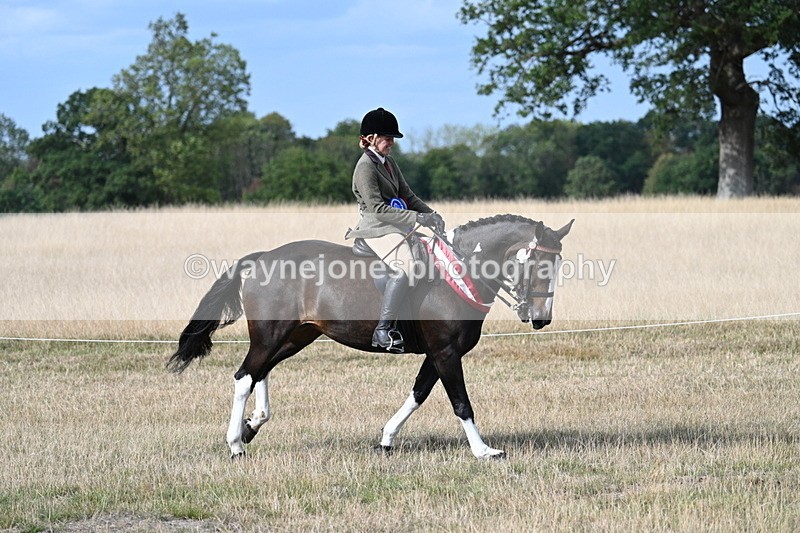 WJ7_7875 - Ridden Championship