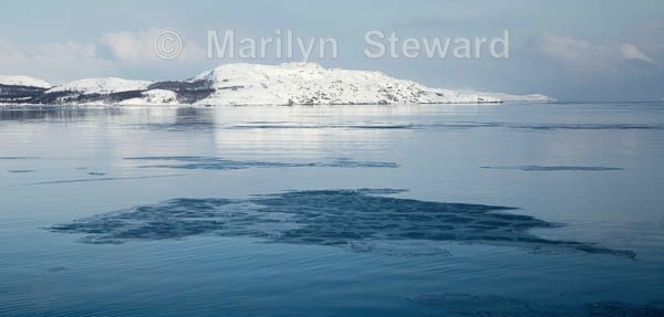 Ice and a slice of land, Kirkenes - Norway Coast