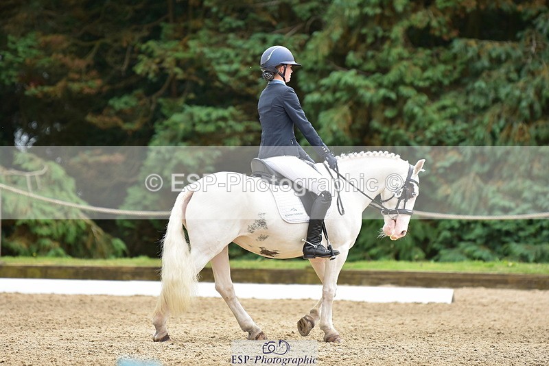 250719A-143938-06331 - 166-Ruby.Vincent-Silver.lining