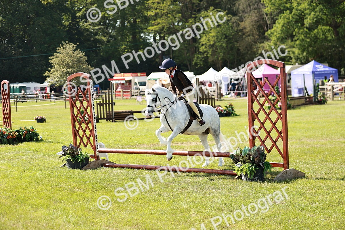 SBM_12686 - Class 106-107 - BSPS LIHS Working Sports Pony
