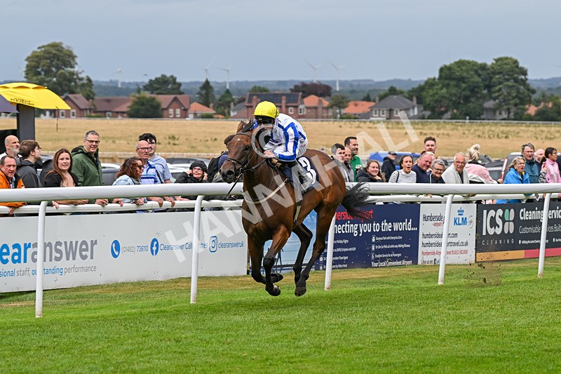 150824-Race 3-Go On Rosie-7862 - Race 3