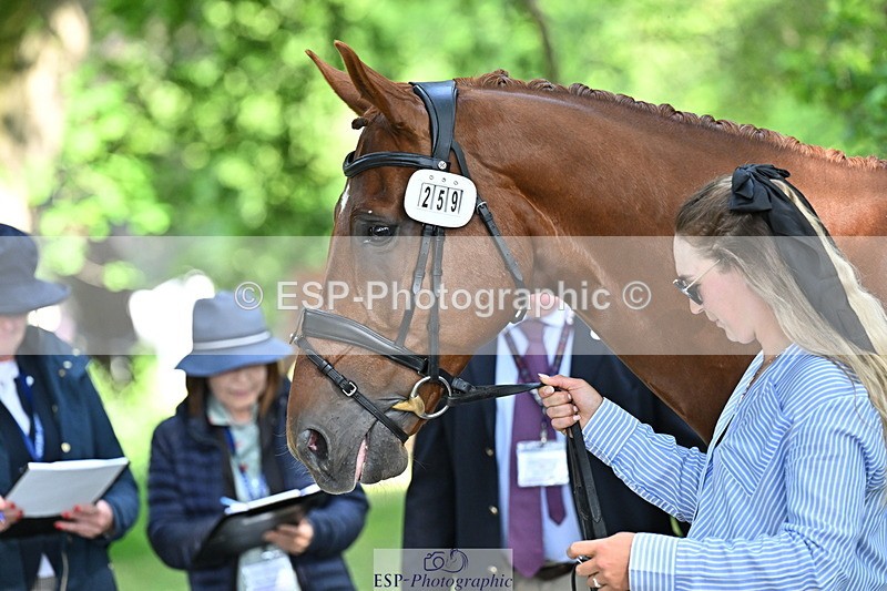 250521A-164654-01327 - C-259-Jasmine.Holmes-MSH.BONANZA