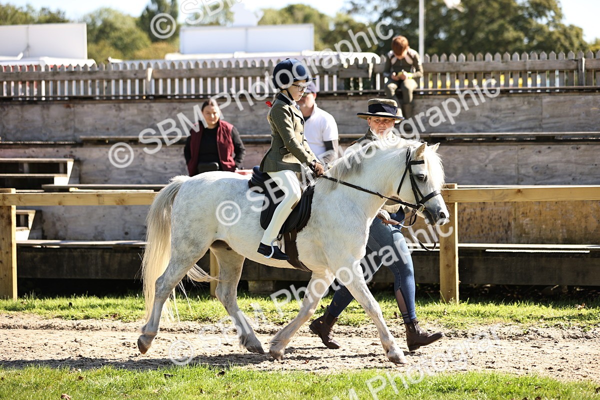 SBM_19221 - S3 - TSR Ridden Pony Showing