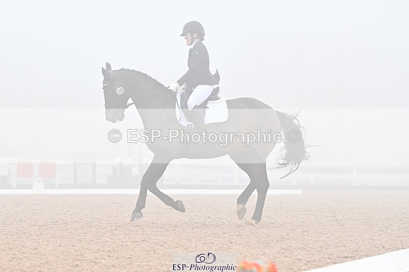 240217A-135346-03306 - 240-Moira.Bonner-Green.lanes.Elidor