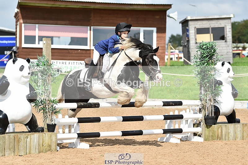 230902A-130616-01315 - Cls 3A Pony Medium 80cm