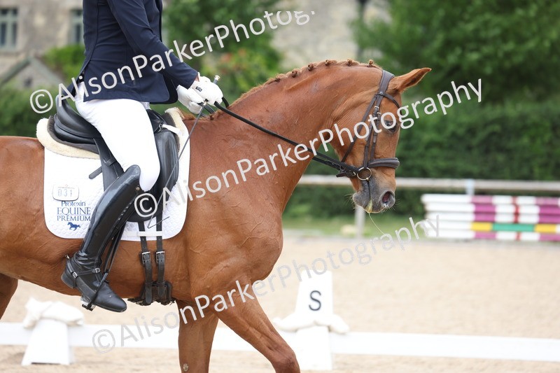 20250604-1031 - Class 7 - Medium 5