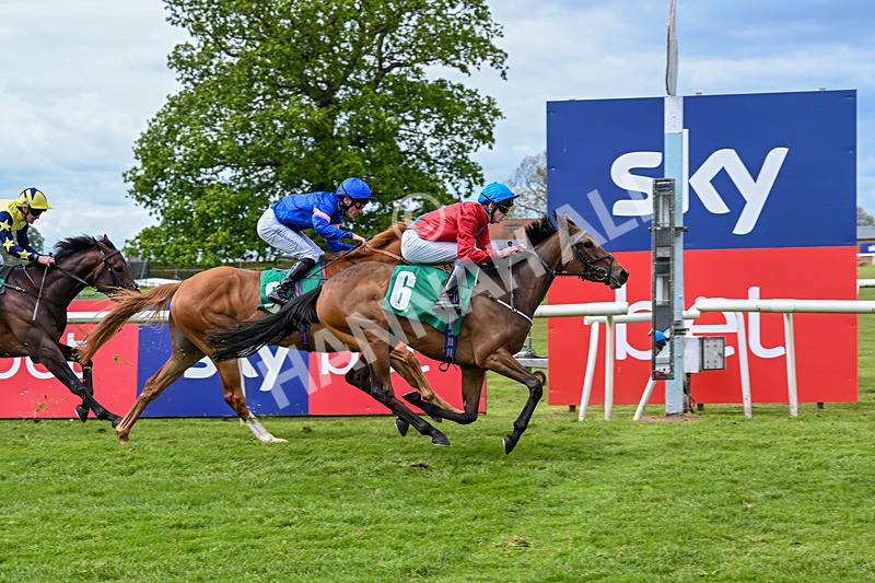 160526-Race 3-Caraway-9556 - Race 3 3.00pm Metaxas Handicap