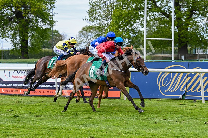 160526-Race 3-Caraway-9545 - Race 3 3.00pm Metaxas Handicap