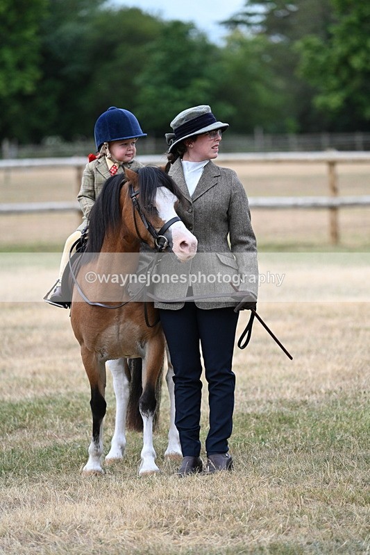 WJ7_9703 - Class 1 Lead Rein Pony