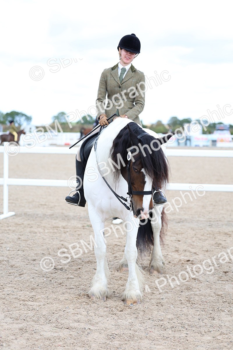SBM_12075