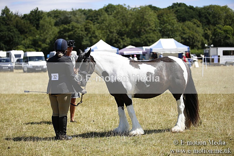 _C7A0065 - BVRC Sow 2018 Ring 2