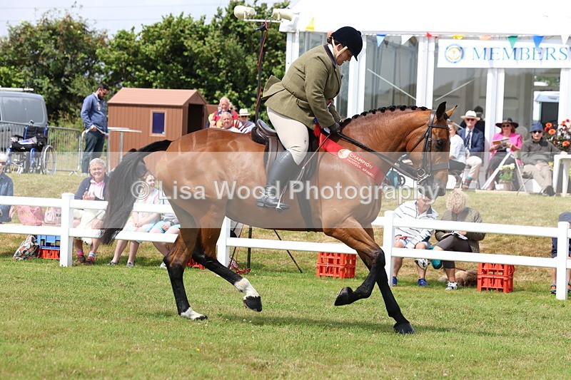 3E7A0706 - Rising Star Ridden Championship