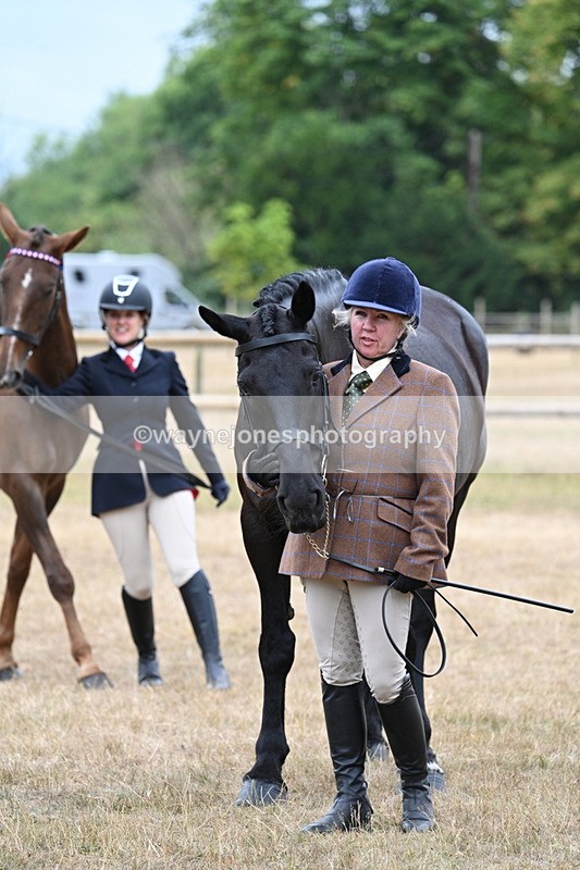 WJ7_0136 - Class 5a Most Handsome Gelding (above 14.2hh)