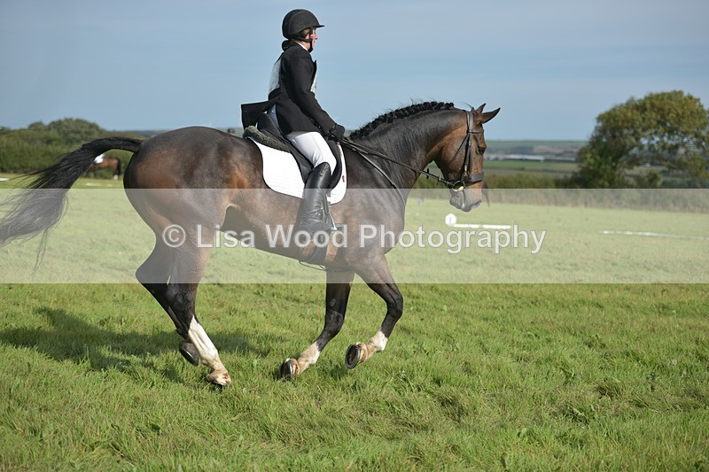 RAY_7951 - Class 2B: Trekenning Open: Dressage
