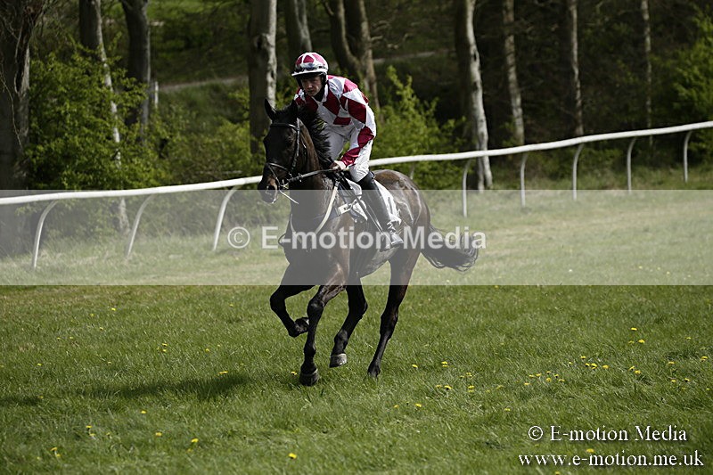 PtP 170417 239 - Old Berks Point-to-Point Lockinge 17/04/17