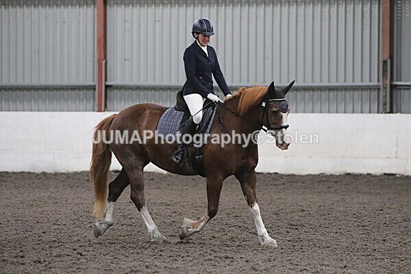 SIAL5629 - CAbin Dressage 5th july 2025