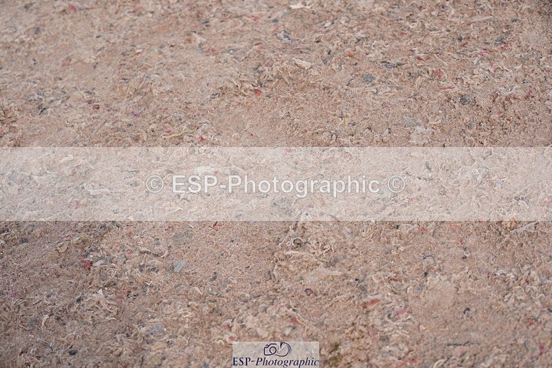 250511-100318-13042 - Cls 30 Snr British Novice and 90cm Open