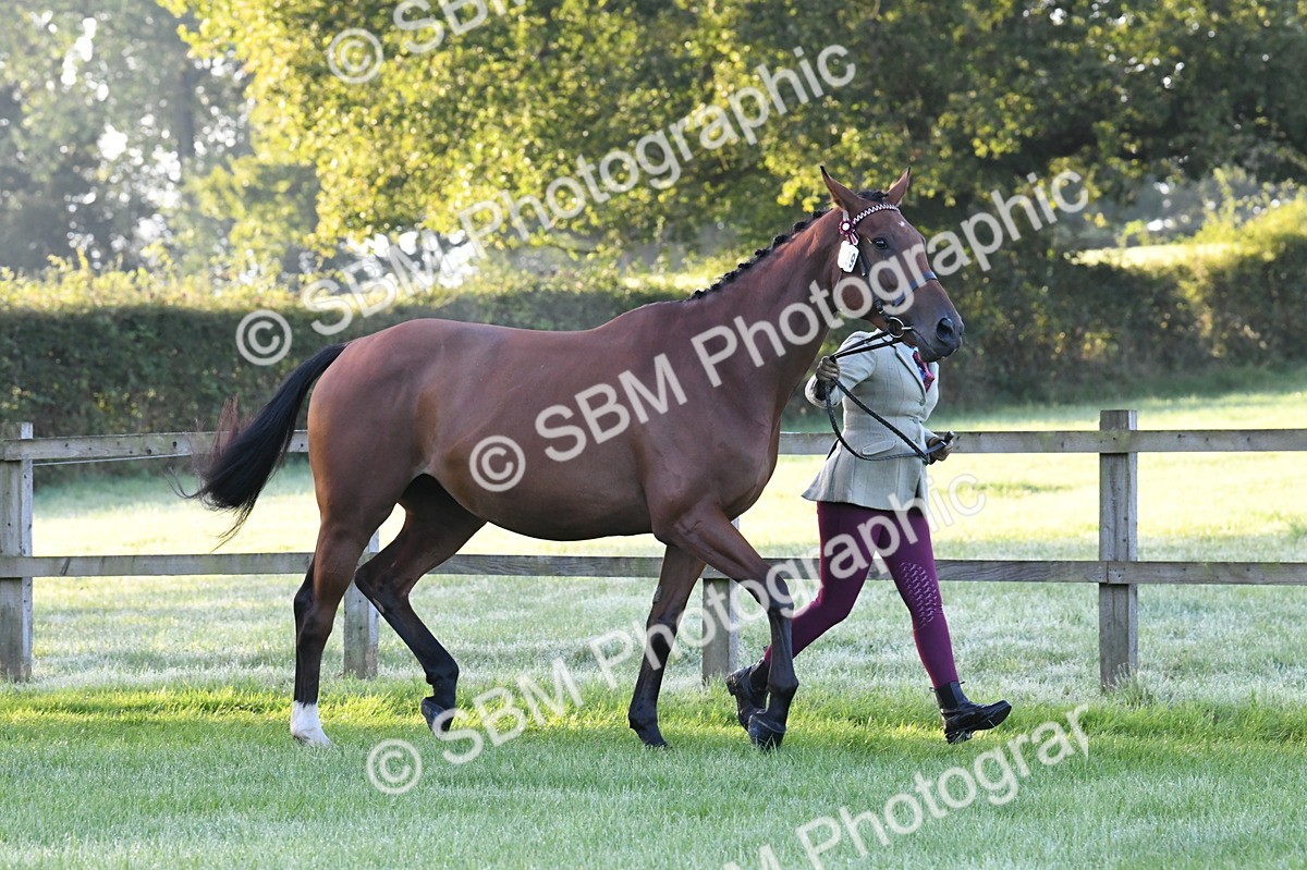 SBM_32529 - S15 - Condition & Turnout In Hand