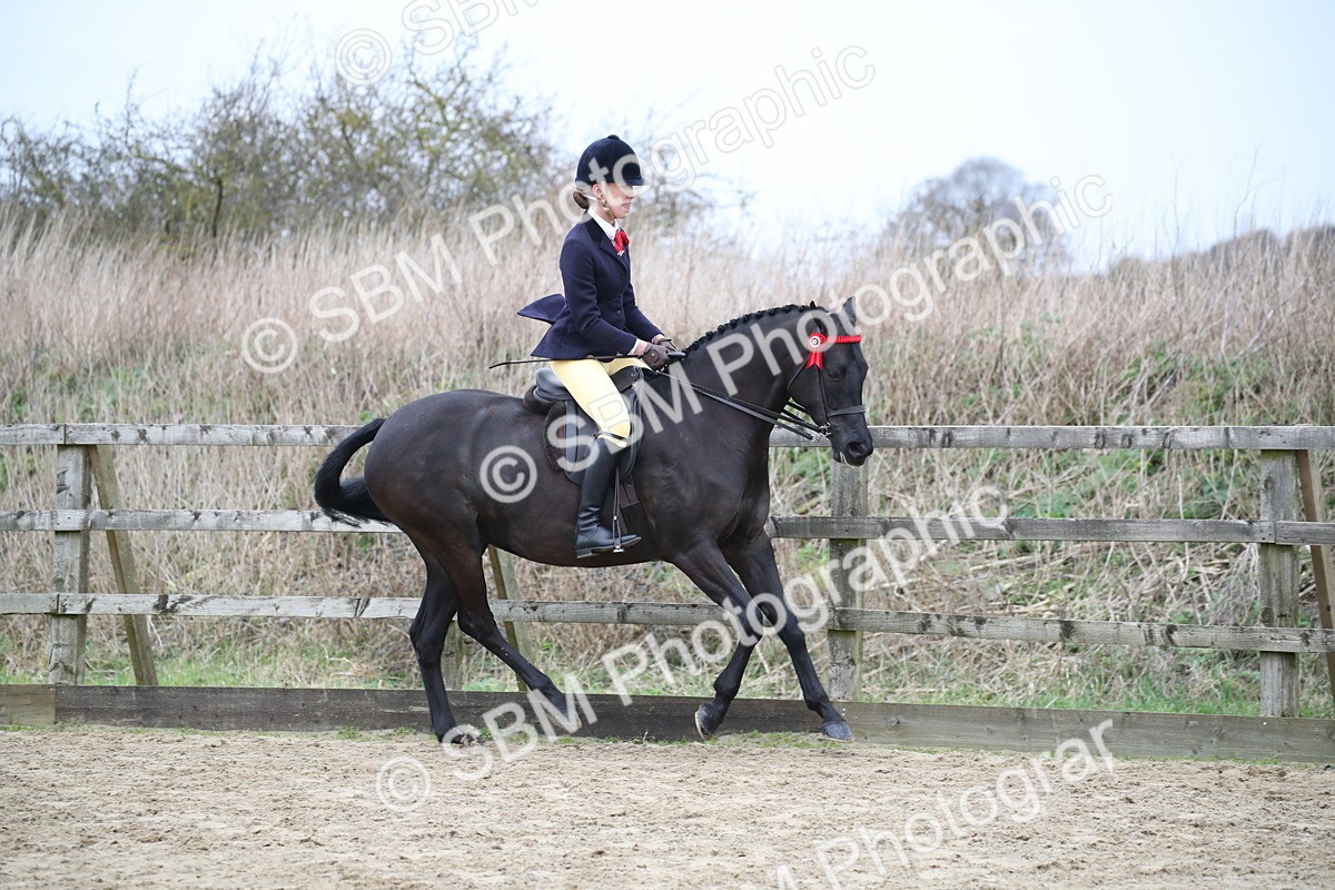 SBM_004705 - Class 5-9 - NPS In Hand-Show Hunter-Intermediate Ridden Inc Ridden Championship