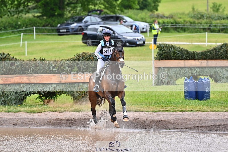 250524A-115906-10043 - B-310-Kitty.King-LISCARROW.FERNHILL