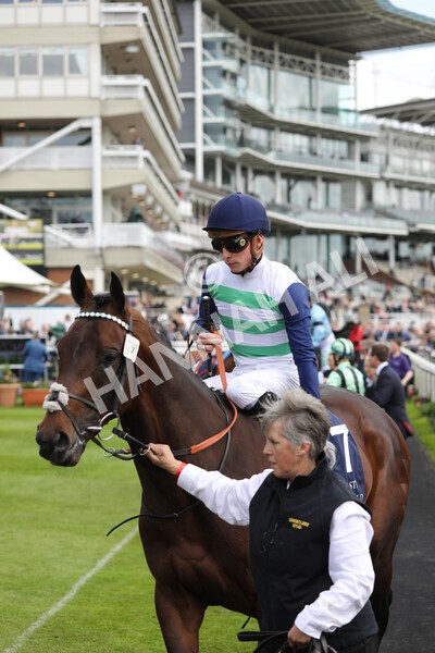 yr12052022r4-27 - Race 4 3.35pm Al Basti Equiworld Dubai Dante Stakes