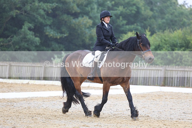 3E7A8447 - Class 2: Intro 3 2024 section B