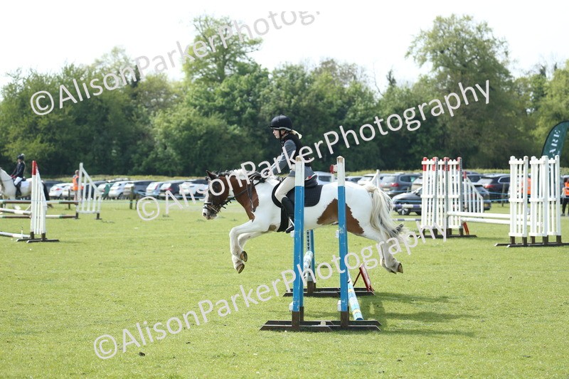 20260426-1552 - Class 14 - Novice 60cm